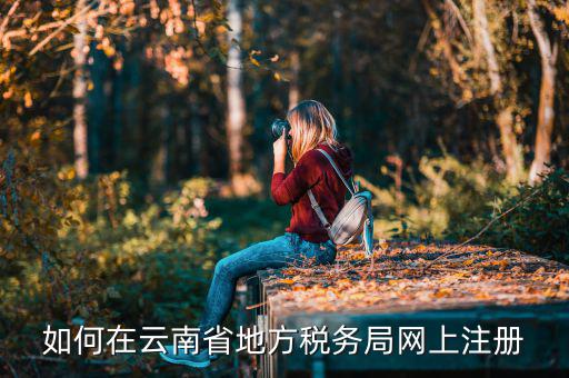 如何進(jìn)入云南稅務(wù)系統(tǒng)上報稅，如何在云南省地方稅務(wù)局網(wǎng)上注冊