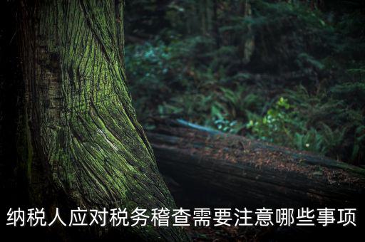 國稅稽查如何應(yīng)對聽證，怎么應(yīng)對稅務(wù)局的稅務(wù)稽查