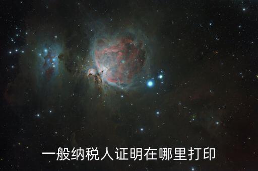 如何打印一般納稅人證明文件，一般納稅人資格認(rèn)定表如何在網(wǎng)上打印文書