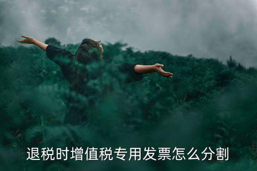 申報退稅如何分批，同一個退稅申報期內(nèi)可以申報2個批次嗎
