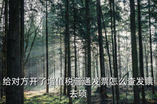 給對方開了增值稅普通發(fā)票怎么查發(fā)票去項