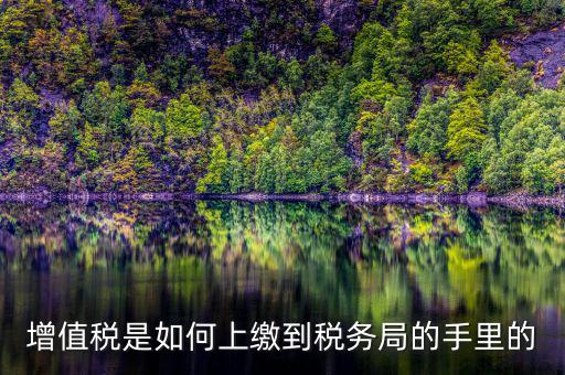 如何在稅務(wù)大廳納稅繳納稅款，在稅務(wù)大廳怎么繳納已申報(bào)稅款