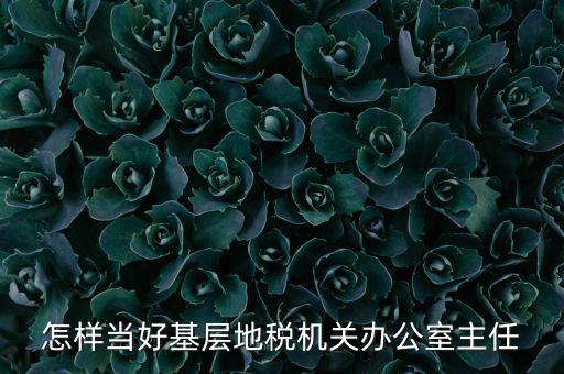 稅務(wù)部門如何抓好主體責(zé)任，如何做好稅收法規(guī)工作