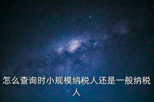 電子稅務局如何查看正常戶，怎么查詢時小規(guī)模納稅人還是一般納稅人