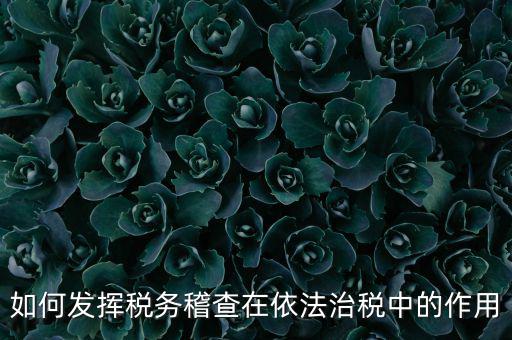 稽查部門如何優(yōu)化稅收營商環(huán)境，如何充分發(fā)揮稽查職能作用更好服務(wù)于全省稅收征管工作發(fā)展大局