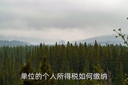 企業(yè)個(gè)人所得稅如何繳納，私營企業(yè)職工個(gè)人所得稅如何繳納