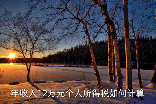 如何計算12萬申報，年收入12萬元個人所得稅如何計算