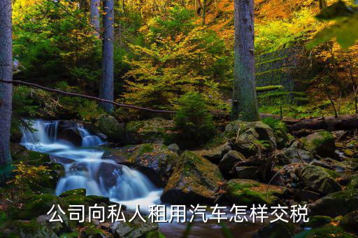 個(gè)人租賃車輛如何交稅嗎，租個(gè)人的車輛應(yīng)該繳納哪幾種稅并且稅率是多少