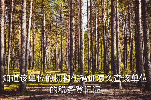 如何查企業(yè)稅務(wù)局登記，公司的稅務(wù)登記證號(hào)怎么查詢