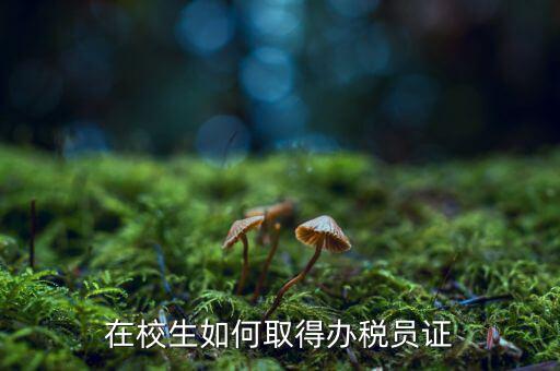網(wǎng)上如何添加辦稅員，個(gè)稅網(wǎng)絡(luò)在線報(bào)稅如何增加新人員信息