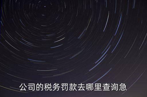 公司的稅務(wù)罰款去哪里查詢(xún)急