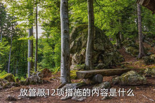 在放管服中如何加強(qiáng)審計(jì)稽察，放管服12項(xiàng)措施的內(nèi)容是什么