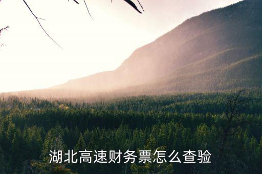 湖北地區(qū)如何網(wǎng)上查詢發(fā)票真?zhèn)危笔⊥ㄓ枚~發(fā)票查詢真?zhèn)尾樵?/></a></span><span id=