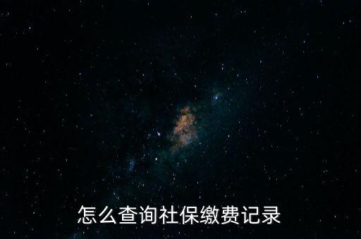 如何在地稅網(wǎng)繳納社保查詢，單位交了社保費(fèi)在地稅網(wǎng)怎么查詢