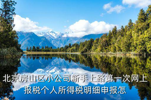 北京網(wǎng)上申報(bào)后如何繳稅，地稅國(guó)稅的網(wǎng)上繳稅怎么繳