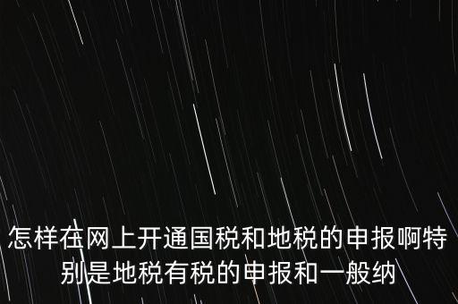 怎樣在網(wǎng)上開通國(guó)稅和地稅的申報(bào)啊特別是地稅有稅的申報(bào)和一般納