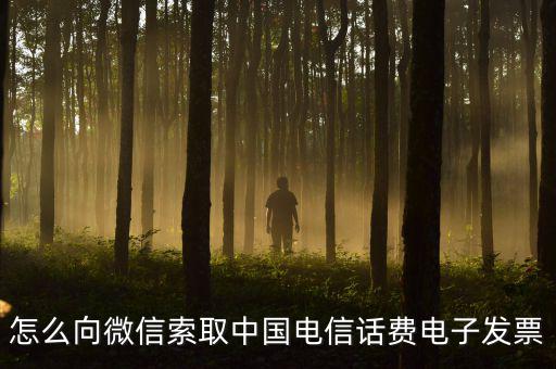 發(fā)票幫公眾號如何使用，9月1號預(yù)付微信公眾號300元9月6號收到發(fā)票要怎么做賬