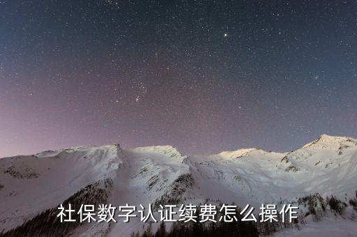 數(shù)字證書如何續(xù)費，社保和公積金的數(shù)字證書到期怎么續(xù)費啊