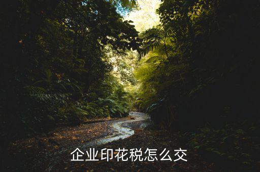 企業(yè)印花稅如何繳納，企業(yè)印花稅怎么交