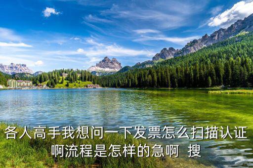 如何掃描認證發(fā)票，各人高手我想問一下發(fā)票怎么掃描認證啊流程是怎樣的急啊  搜