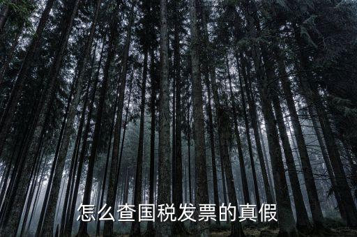 國稅如何驗證發(fā)票，增值稅發(fā)票網(wǎng)上怎么認證