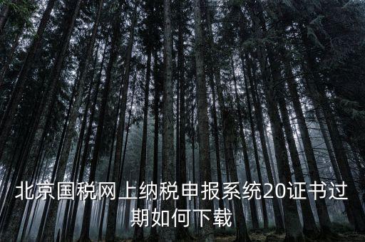 北京國稅網站如何更新，如何在國稅網上更新公司的信息