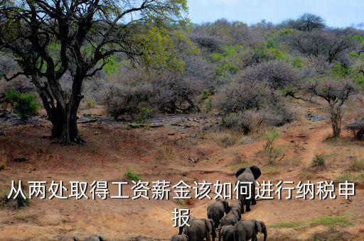 多出取得工資 如何申報(bào)個(gè)稅，個(gè)人多處取得所得如何申報(bào)繳納個(gè)稅