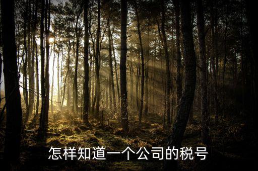 單位稅號(hào)如何查詢，知道公司名字怎么查稅號(hào)嗎