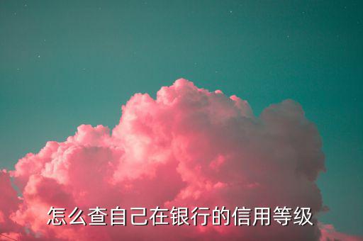 如何查納稅人信用等級，如何確認(rèn)企業(yè)為納稅信用A級增值稅一般納稅人