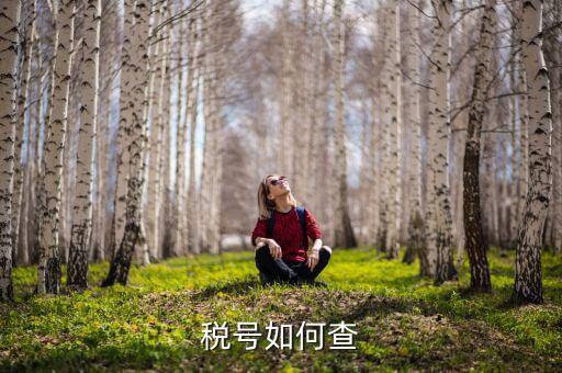武漢如何查公司稅號(hào)，有誰知道公司名怎么查公司稅號(hào)