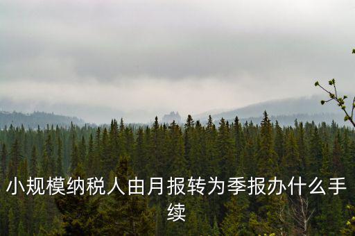 小規(guī)模附加稅如何改成按季申報，小規(guī)模納稅人增值稅按月申報可以改為按季度申報嗎