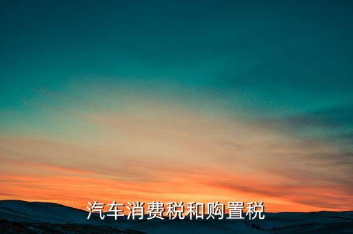 汽車消費(fèi)稅和購(gòu)置稅