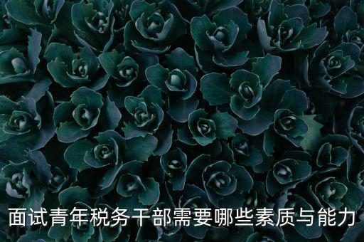 稅務(wù)年輕干部如何培養(yǎng)，面試青年稅務(wù)干部需要哪些素質(zhì)與能力