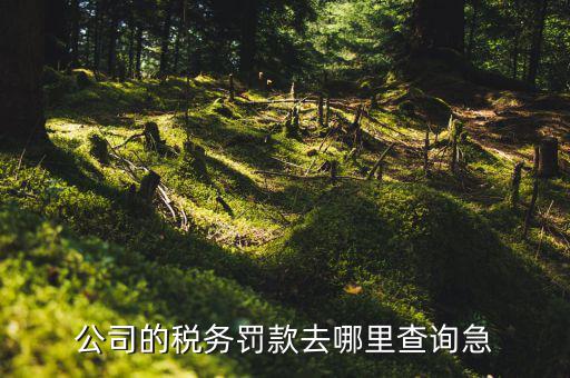 如何查稅收違法記錄，公司的稅務(wù)罰款去哪里查詢急