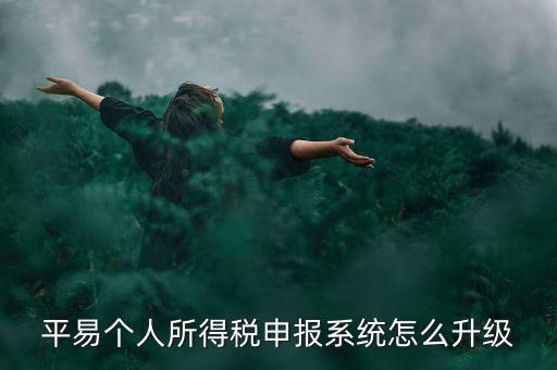 個(gè)稅如何在線升級(jí)，個(gè)稅系統(tǒng)的版本號(hào)V12146如何升級(jí)V12159