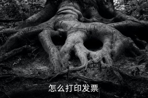 億企贏攜稅寶發(fā)票如何打印，這樣怎么打印電子發(fā)票