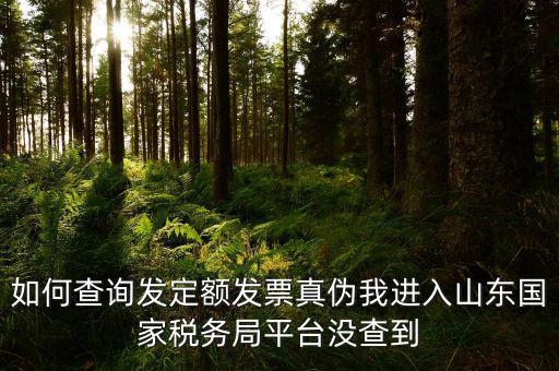 公交卡定額發(fā)票如何查詢(xún)真?zhèn)危绾尾樵?xún)發(fā)定額發(fā)票真?zhèn)挝疫M(jìn)入山東國(guó)家稅務(wù)局平臺(tái)沒(méi)查到