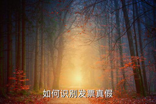 深圳國(guó)稅局發(fā)票如何查詢(xún)真?zhèn)尾樵?xún)，如何在認(rèn)證前查驗(yàn)發(fā)票真?zhèn)?/></a></span><span id=