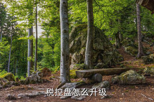 個人所得稅軟件如何升級，軟件怎樣升級