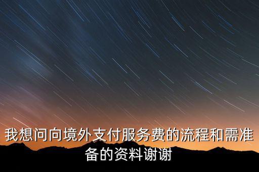 我想問向境外支付服務(wù)費的流程和需準(zhǔn)備的資料謝謝
