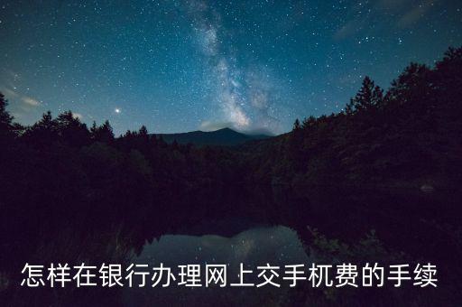 如何網(wǎng)上申請代扣代繳手續(xù)費，怎樣在銀行辦理網(wǎng)上交手杌費的手續(xù)