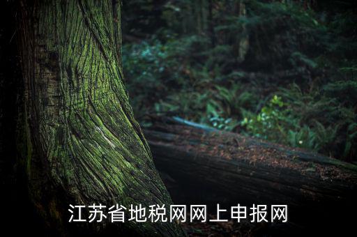 江蘇如何網(wǎng)上報稅，現(xiàn)在江蘇能不能進(jìn)行網(wǎng)上抄報稅