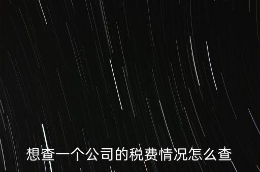 如何查詢公司納稅記錄查詢，想查一個(gè)公司的稅費(fèi)情況怎么查