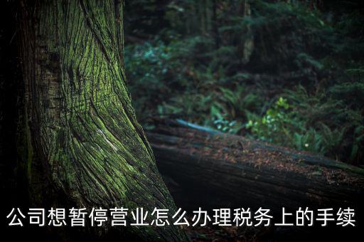 北京市如何辦理單位稅務暫停，企業(yè)暫停營業(yè)怎么辦理
