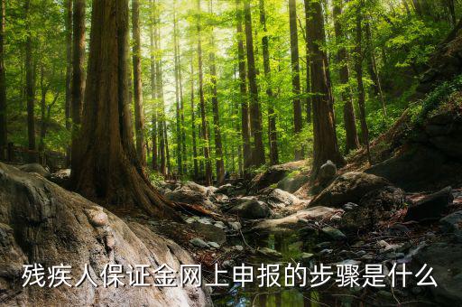 殘疾人保證金網(wǎng)上申報(bào)的步驟是什么