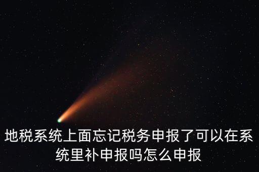 地稅如何補(bǔ)充申報(bào)表，地稅系統(tǒng)上面忘記稅務(wù)申報(bào)了可以在系統(tǒng)里補(bǔ)申報(bào)嗎怎么申報(bào)