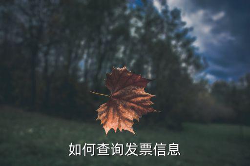 開(kāi)票系統(tǒng)如何查詢(xún)票種，如何從金稅盤(pán)中看出公司票種