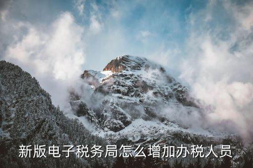深圳稅局如何增加辦稅員，電子稅務(wù)局如何添加辦稅人員