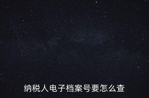 納稅人電子檔案號(hào)要怎么查