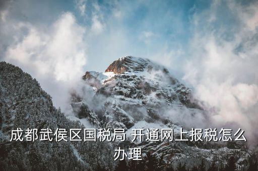 成都個(gè)體如何申報(bào)國(guó)稅，個(gè)體戶如何申報(bào)國(guó)稅和地稅
